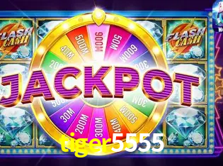 A Experiência Imersiva dos Cassinos Ao Vivo no tiger5555