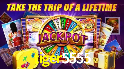 A Experiência Imersiva dos Cassinos Ao Vivo no tiger5555