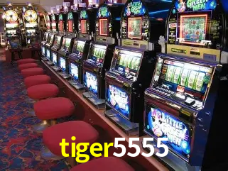 A Emoção da Loteria na tiger5555: Uma Chance de Mudança de Vida